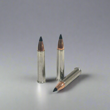 Load image into Gallery viewer, .22 Magnum Nickel Dummy Rounds With New Black Tip Bullet
