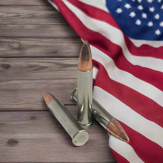 22 Magnum Nickel Dummy Rounds