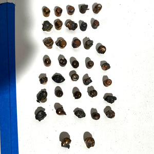 Recovered With Impact 45 ACP & 9MM Fired Bullets Qty 250 Pcs - Shipping Included