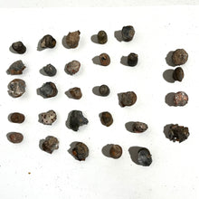 Load image into Gallery viewer, Recovered With Impact 45 ACP & 9MM Fired Bullets Qty 250 Pcs - Shipping Included