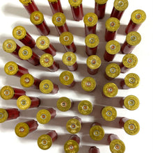 Load image into Gallery viewer, Headstamps Gold With Red Hulls Winchester AA