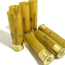 Load image into Gallery viewer, Gold Shotgun Shells 20 Gauge-Fired-Hulls
