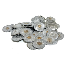 Load image into Gallery viewer, Spent Rounds Bullet Splatters Slices