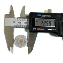 Load image into Gallery viewer, Recovered Fired Bullets for DIY Bullet Jewelry