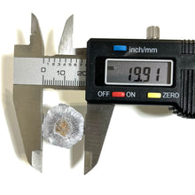 Load image into Gallery viewer, 45 ACP Fired Bullets Fragments Splatter Slices Shrapnel Used Ammo Spent Shells DIY Bullet Jewelry Qty 6 Pcs - Free Shipping