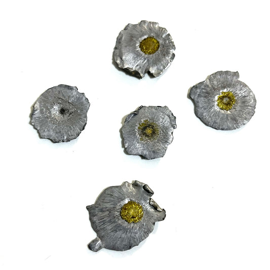 Small Fired Bullets Fragments Splatter Slices Shrapnel 6 Pcs