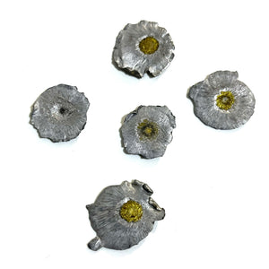 Small Fired Bullets Fragments Splatter Slices Shrapnel 6 Pcs - Free Shipping