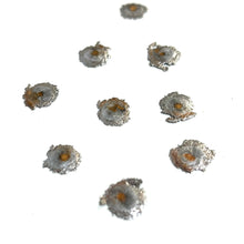 Load image into Gallery viewer, Tiny Fired Bullets Fragments Splatter Slices Shrapnel 6 Pcs - Free Shipping