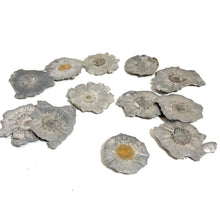 Load image into Gallery viewer, 45 ACP Fired Bullets Fragments Splatter Slices Shrapnel Used Ammo Spent Shells DIY Bullet Jewelry Qty 12 Pcs Free Shipping