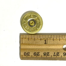 Load image into Gallery viewer, Size And Dimensions Bras Shotgun Slices