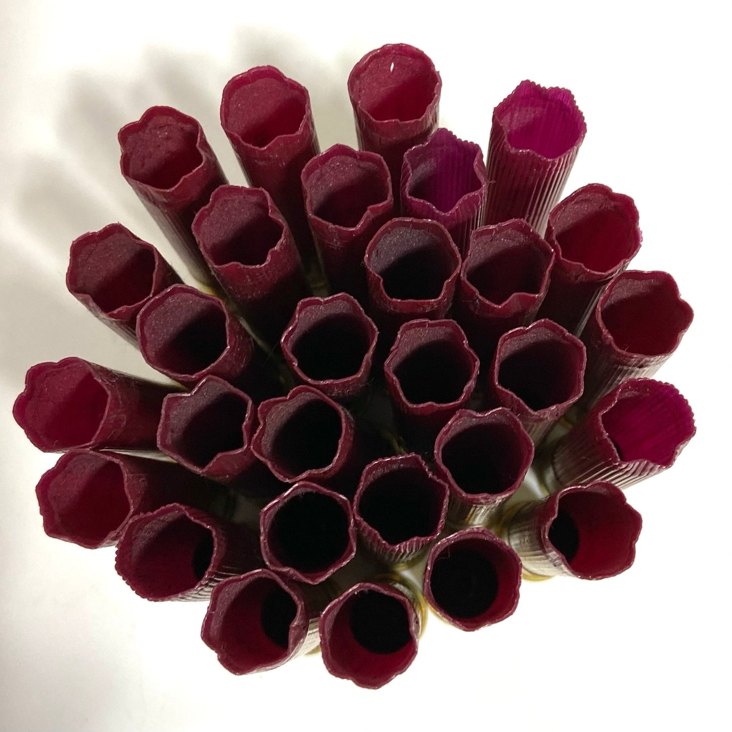 Cluster of dark red Federal 410 bore empty shotgun shells viewed open-end up showing crimped mouths