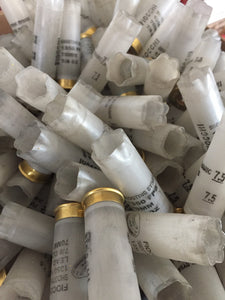Empty Clear Shotgun Shells