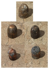 Load image into Gallery viewer, Once Fired Bullets Used Ammo Spent Shells DIY Bullet Jewelry Steampunk Crafts Ammunition 5 Pcs