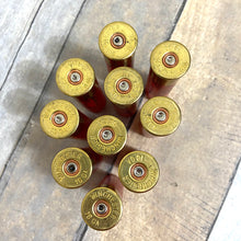 Load image into Gallery viewer, 16 Gauge Red Empty Used Shotgun Shells Winchester Headstamps
