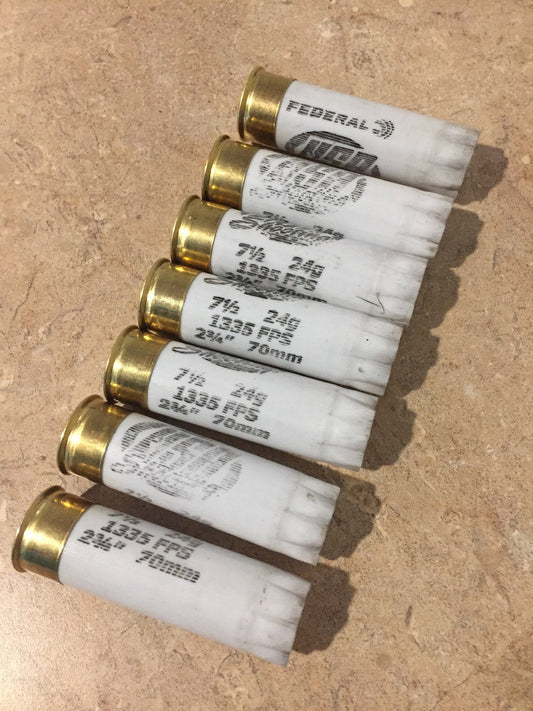 Empty Shotgun Shells Once Fired