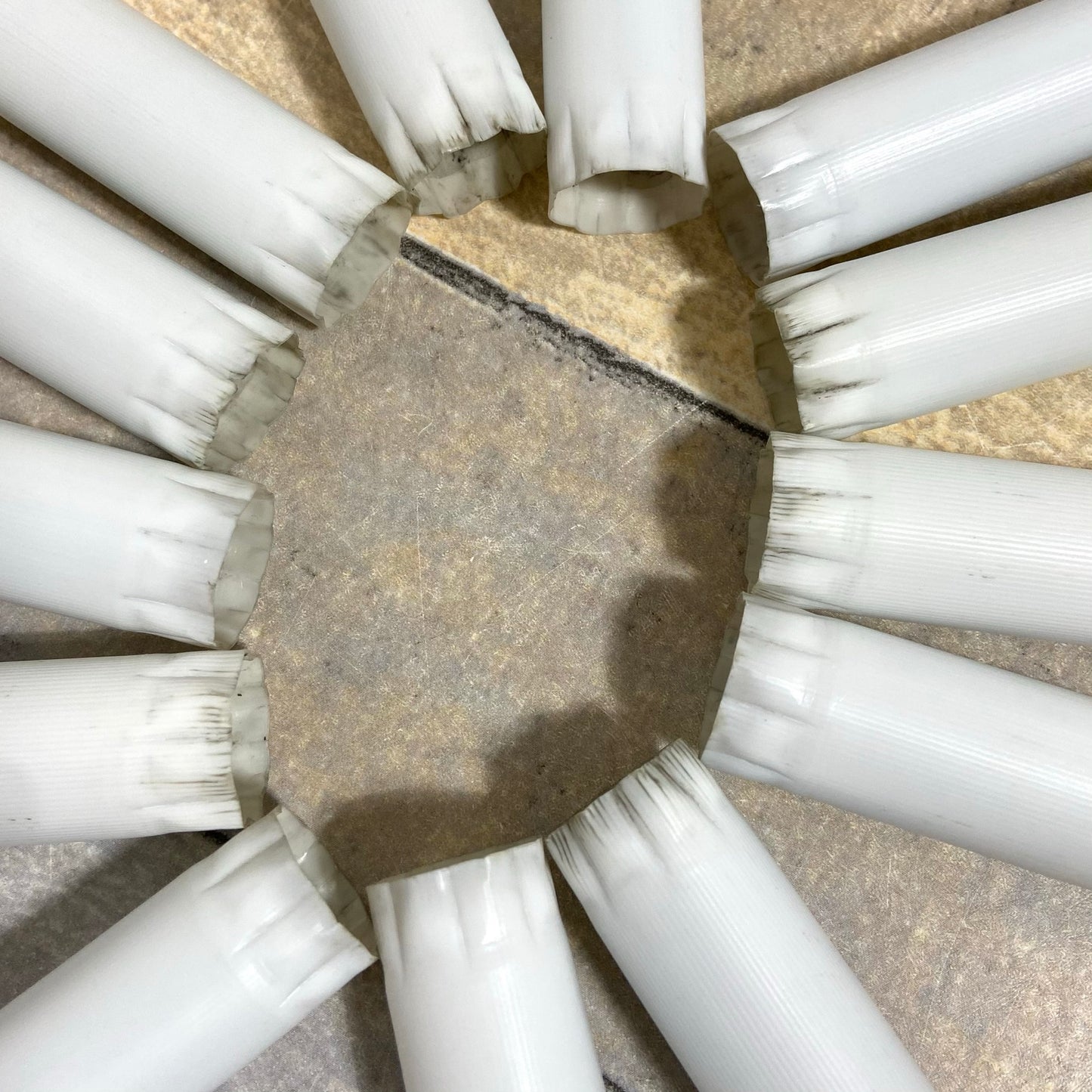 White Shotgun Shell Boutonnieres