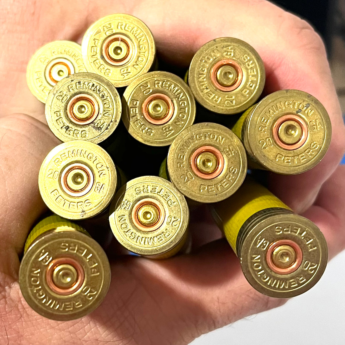 Mixed 16 & 20 Gauge Shotgun Shells - Power Piston and Winchester - Fre ...