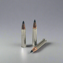 Load image into Gallery viewer, .22 Magnum Nickel Dummy Rounds With New Black Tip Bullet
