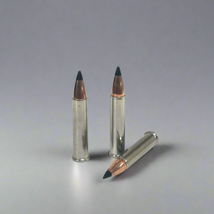 .22 Magnum Nickel Dummy Rounds With New Black Tip Bullet