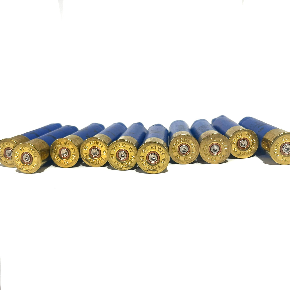 Row of blue 16 gauge Fiocchi empty shotgun shells with gold bases viewed base-up on a white background