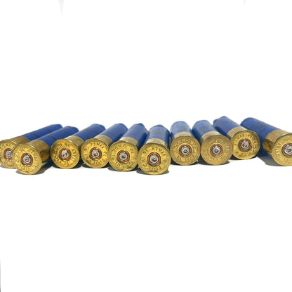 Row of blue 16 gauge Fiocchi empty shotgun shells with gold bases viewed base-up on a white background