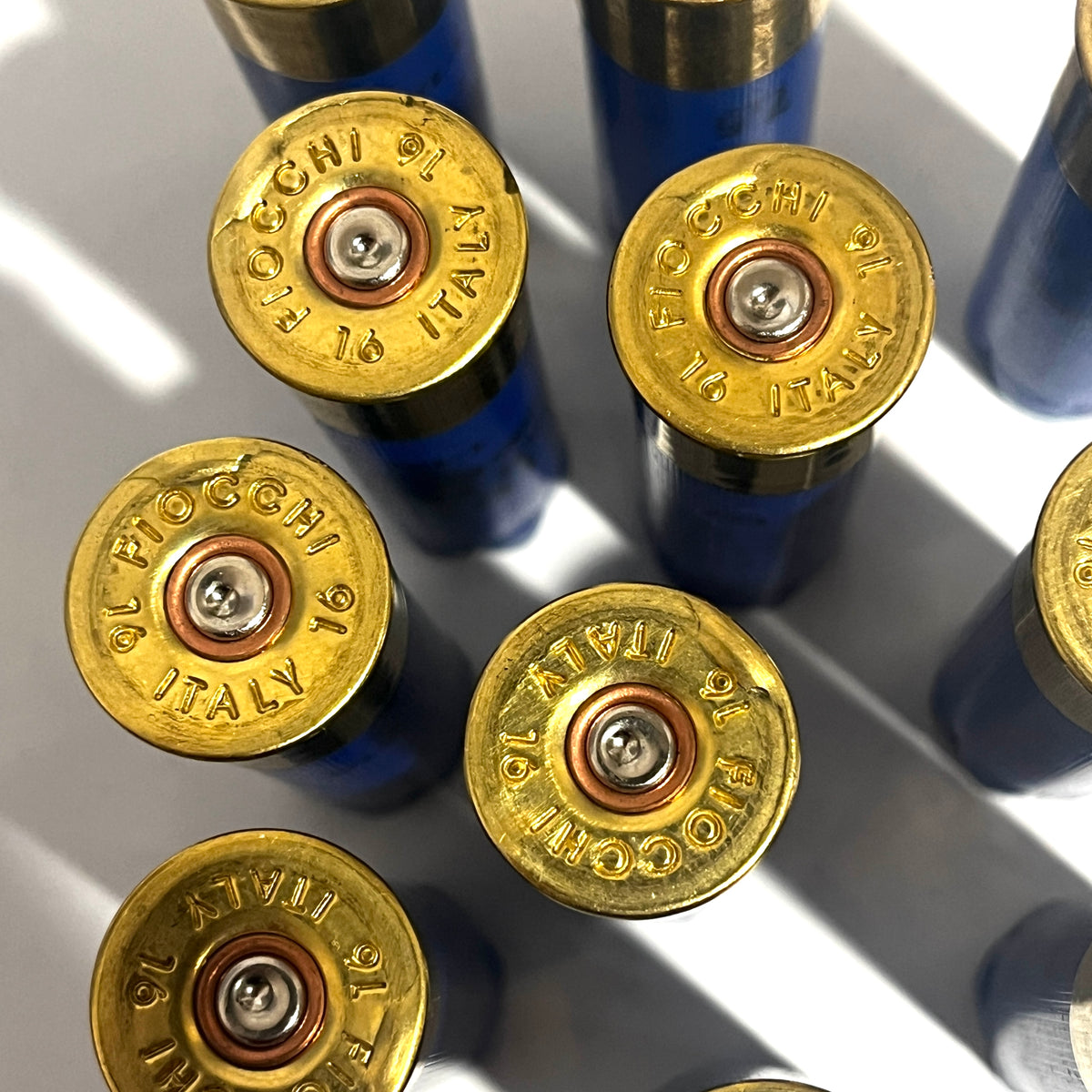 Cluster of blue 16 gauge Fiocchi Italy empty shotgun shells viewed base-up on a white background