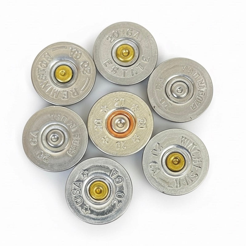 7 silver 20 gauge shotgun shell slices with various headstamps, arranged in a circle on a white background