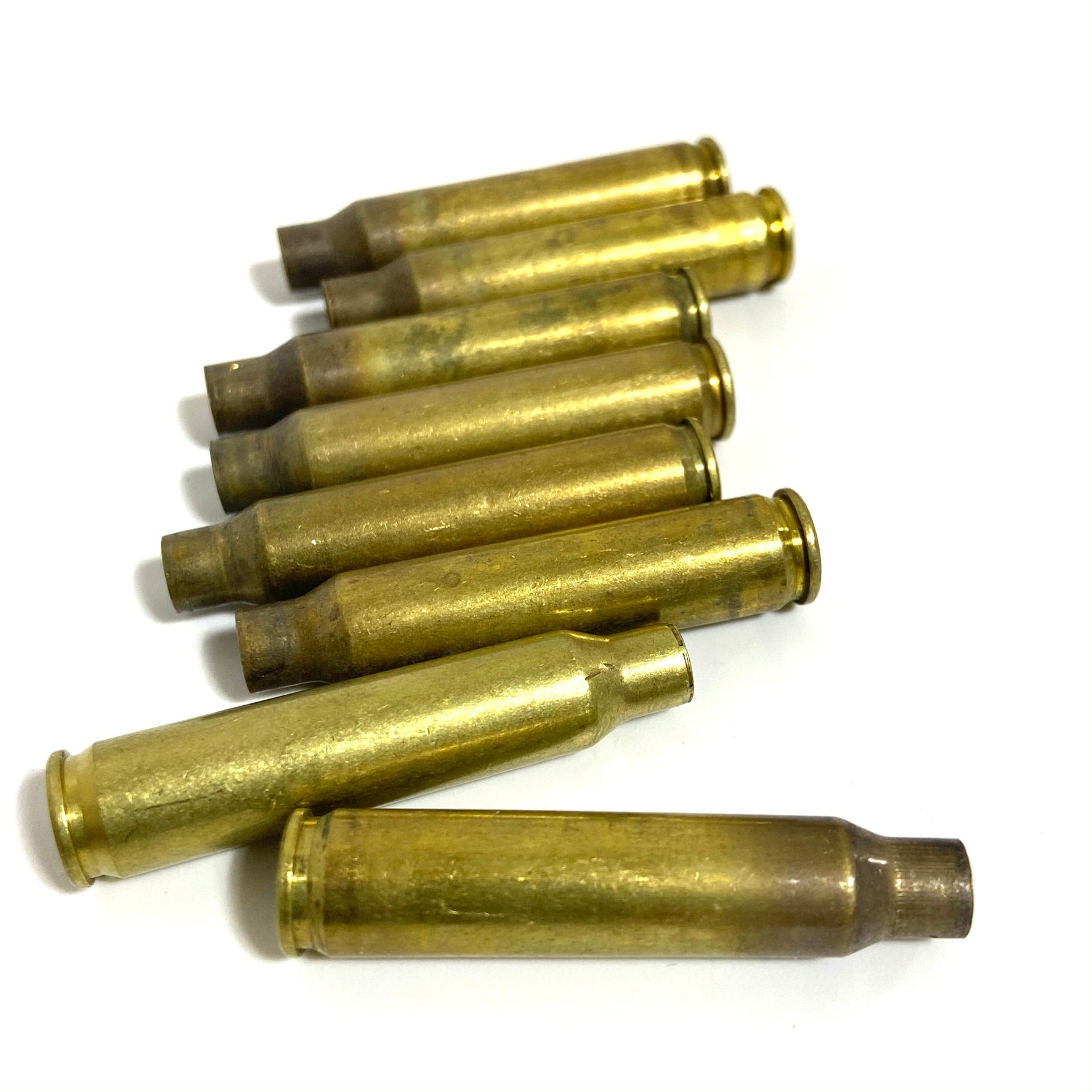 Eight uncleaned once-fired 223 5.56 brass casings stacked diagonally on a white background with visible firing residue.