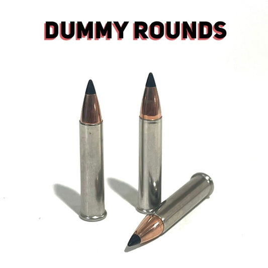 3 .22 Magnum nickel dummy rounds with black polymer tipped bullets on white background, Dummy Rounds text overlay
