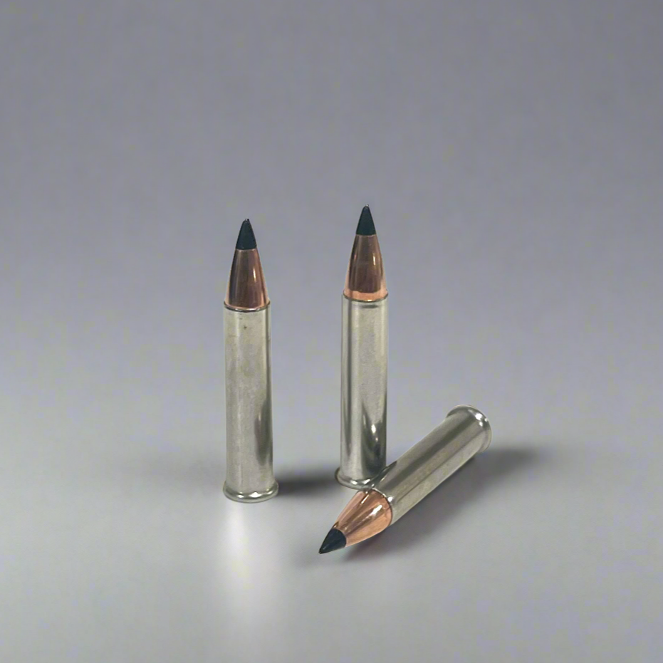 3 .22 Magnum nickel dummy rounds with black polymer tipped bullets, two standing and one laid on side, gray background
