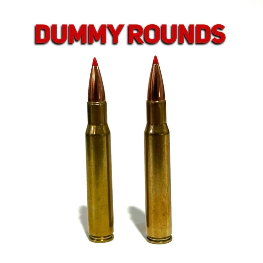 Two brass 30-06 dummy rounds with red tip bullets under a bold Dummy Rounds text banner.