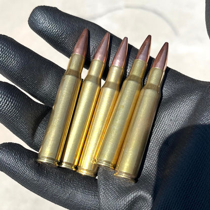 Gloved hand holding 5 30-06 dummy rifle rounds with brass cases and new bullets