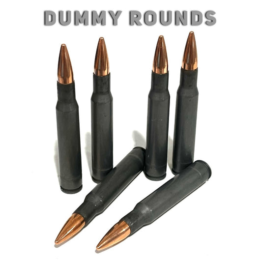 5 steel 30-06 dummy rifle rounds with copper bullets, standing and lying under a Dummy Rounds text banner