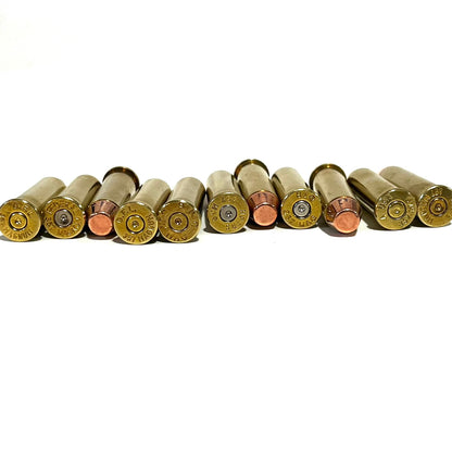 Row of 10 empty brass cases and flat-nose dummy rounds with mixed headstamps lined up on a white background