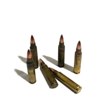 Load image into Gallery viewer, .223 Remington / 5.56 Nato Dummy Rifle Rounds Dirty Real Fired Brass Casings With New Bullet
