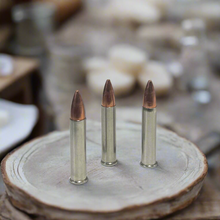 Load image into Gallery viewer, .22 Magnum Nickel Dummy Rounds With New Bullet
