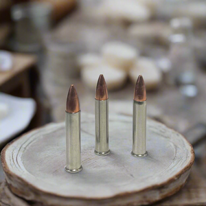 .22 Magnum Nickel Dummy Rounds With New Bullet