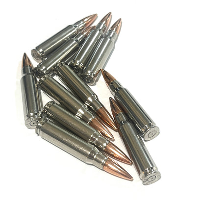 Nickel .308 WIN / 7.62x51 NATO Dummy Rifle Rounds With New Bullet | Qty 5