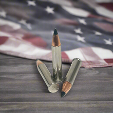 Load image into Gallery viewer, .22 Magnum Nickel Dummy Rounds With New Black Tip Bullet
