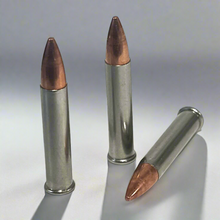 Load image into Gallery viewer, .22 Magnum Nickel Dummy Rounds With New Bullet
