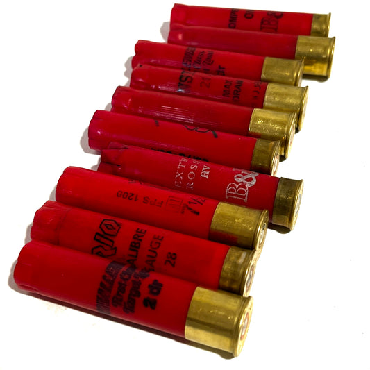 Red 28 Gauge Empty Shotgun Shells – 50 Count
