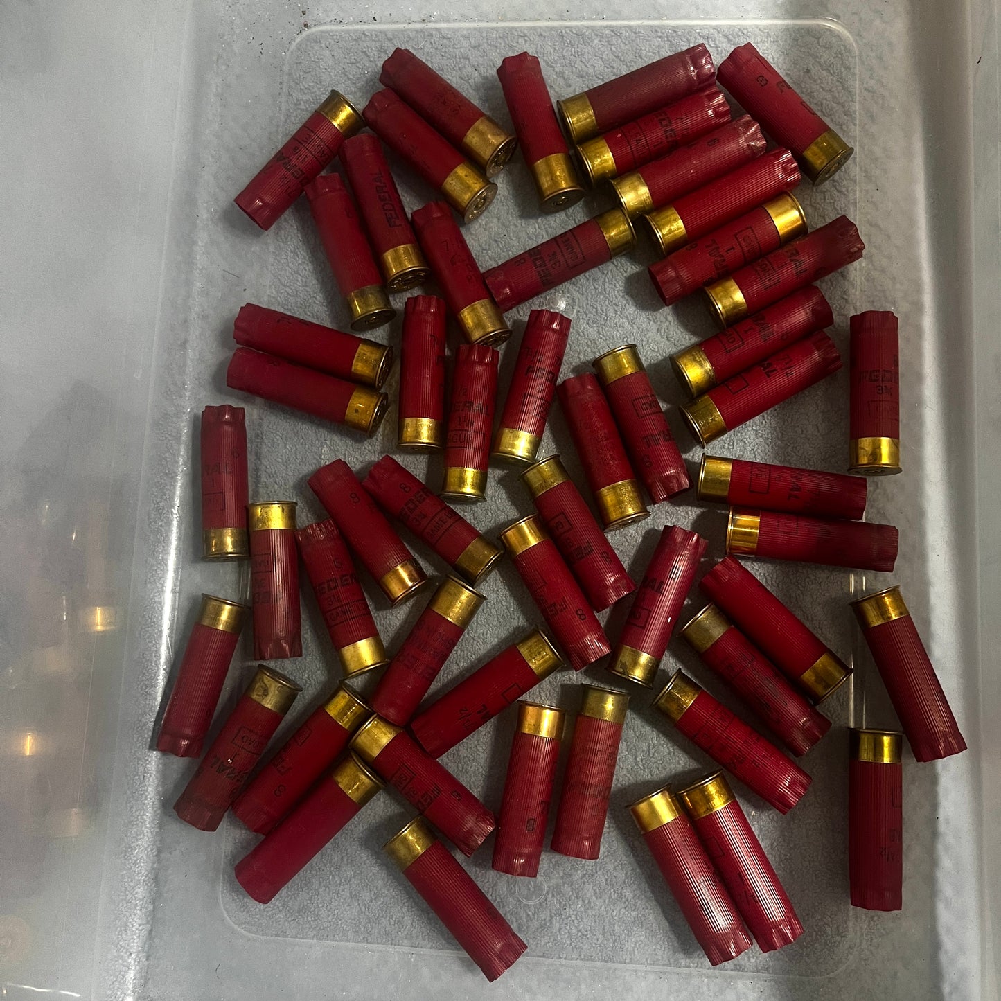 Mallard Empty Shotgun Shells 12 Gauge - 50 pcs - Shipping Included