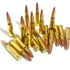 .308 WIN 7.62 NATO Dummy Rounds Real Once Fired Brass Casings With New Bullet