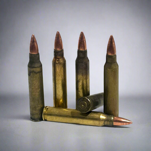 Realistic Dummy Rounds 223 For Movies