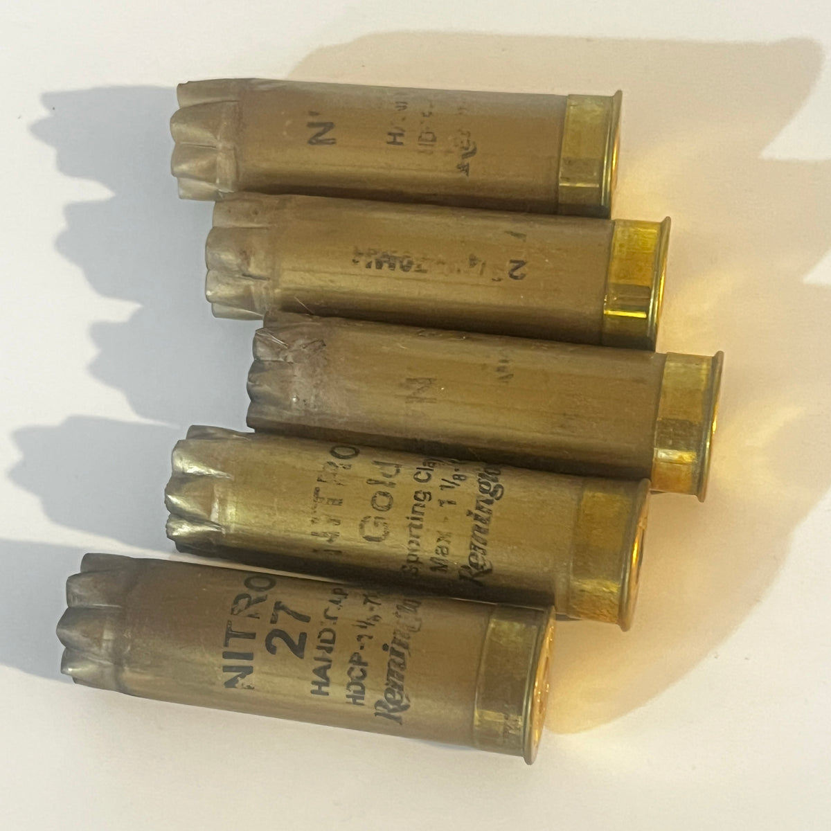 5 Remington Nitro gold 12ga fired hulls diagonal white background brass headstamps