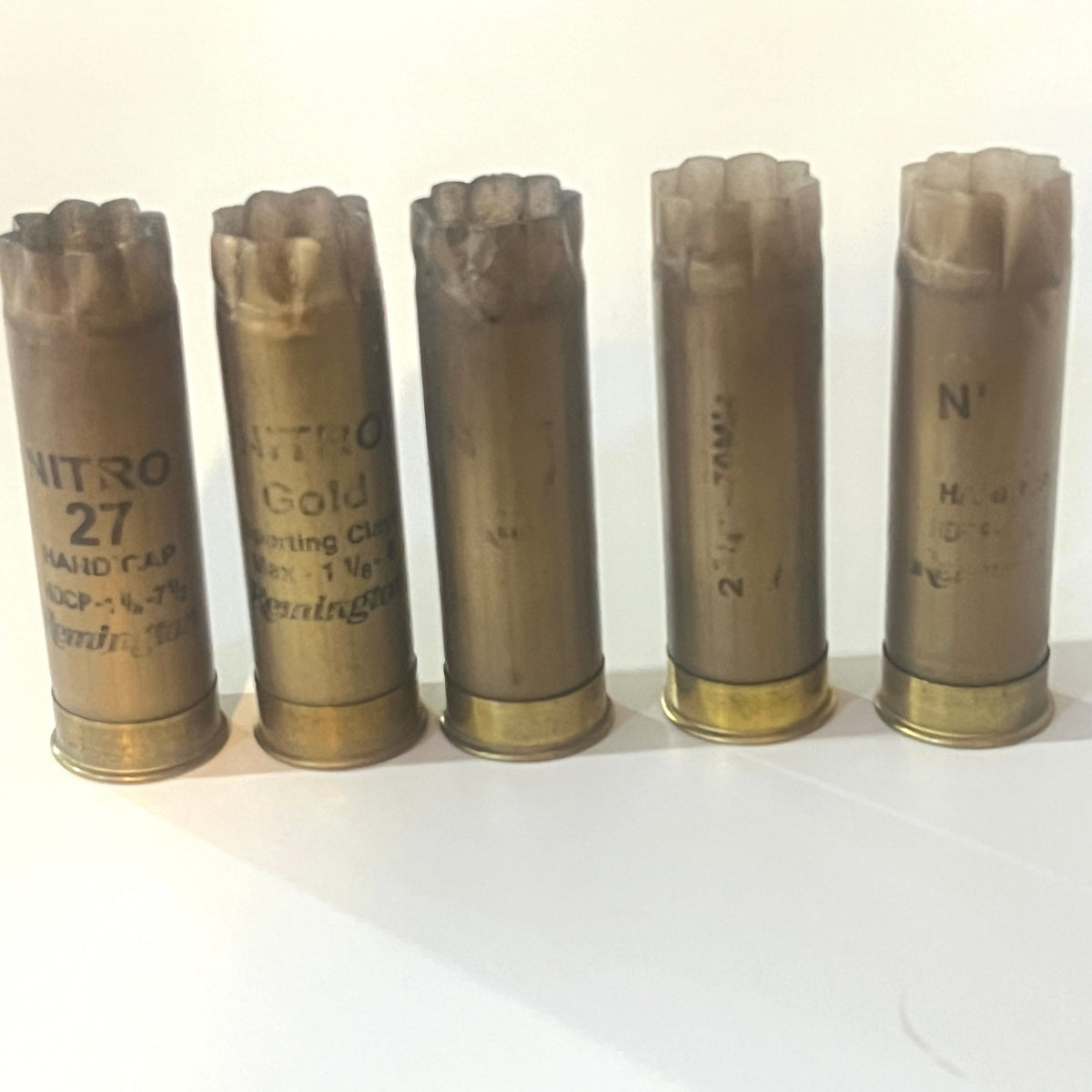 5 pcs gold 12ga Remington once fired hulls white  background.