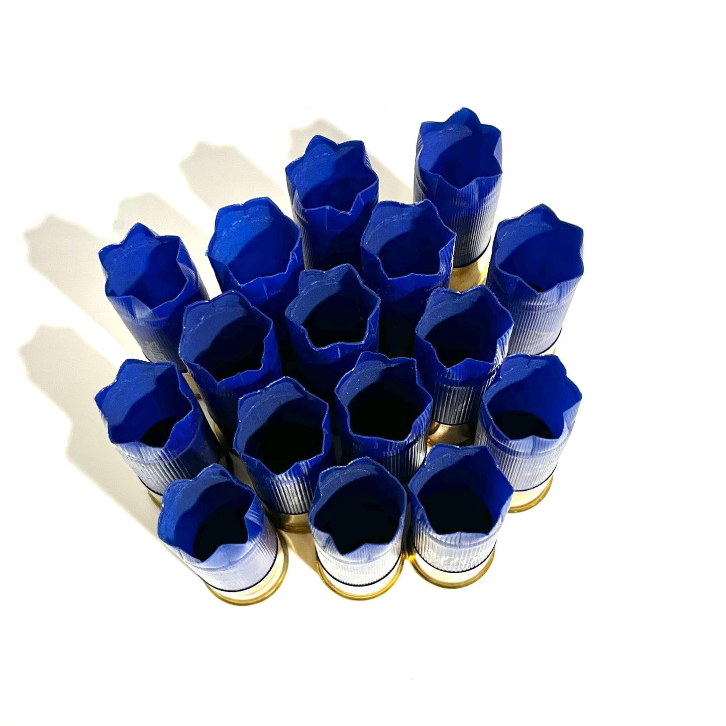 13 empty blue 12 gauge shotgun shells with crimped open ends viewed from above showing hollow interiors