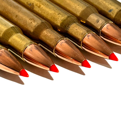 Five tarnished brass dummy rounds with red tips lined up in a close-up row.