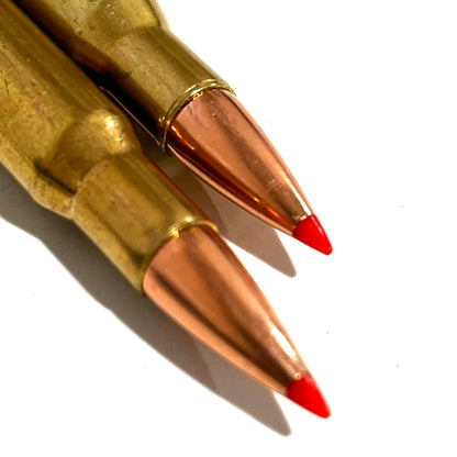 Close-up of two brass dummy rounds showing copper bullets with red polymer tips.
