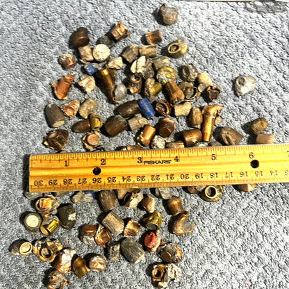 Pile of deformed spent bullet fragments measured next to a ruler on a gray carpet